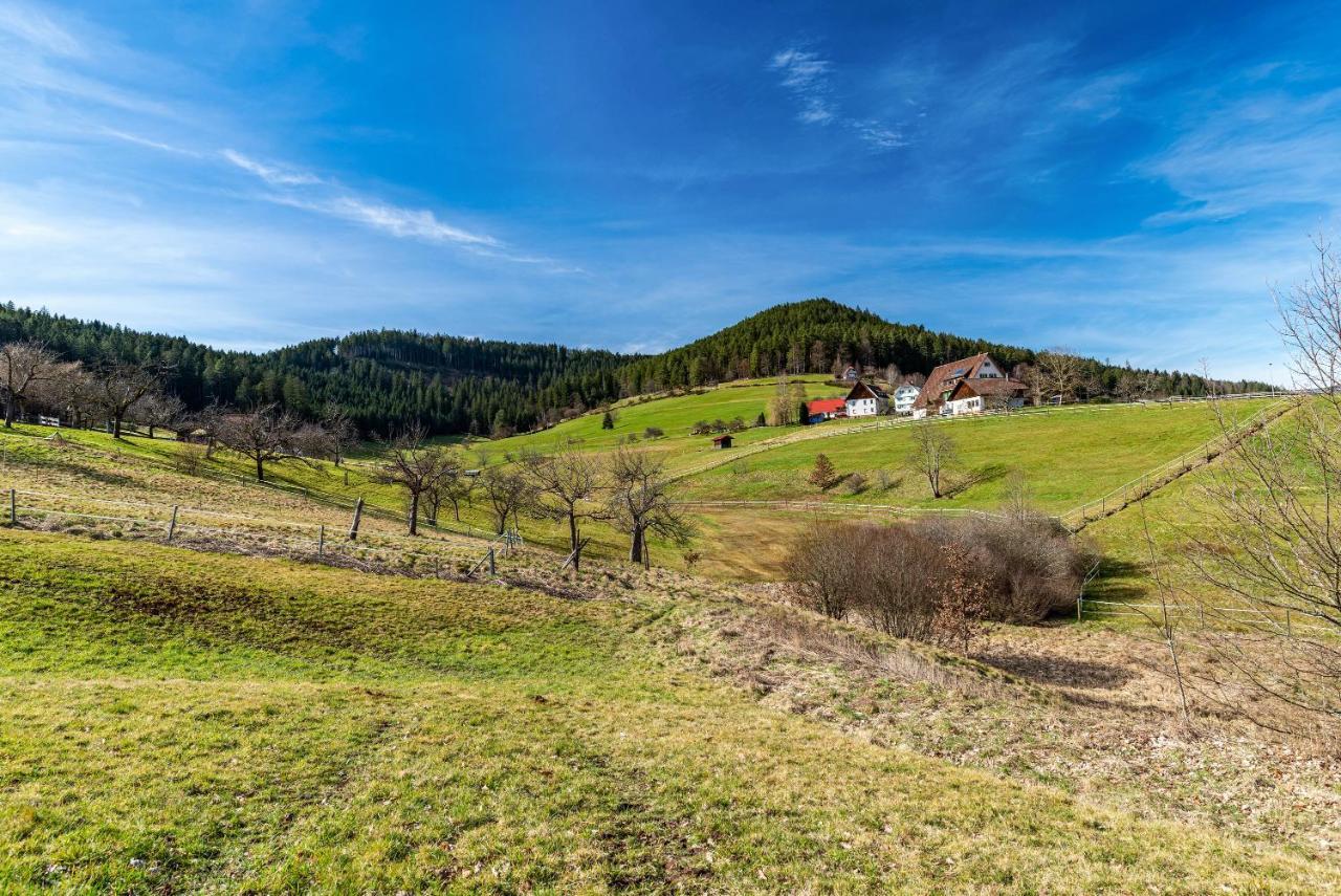 Schwarzwald Woelkchen Apartment Baiersbronn Exterior photo